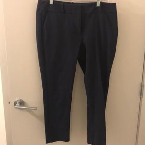 Gently worn curvy loft pants